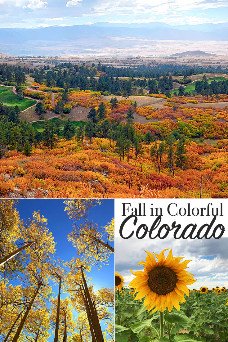 Exploring Fall Colors in Colorado - photo by Jen Goode